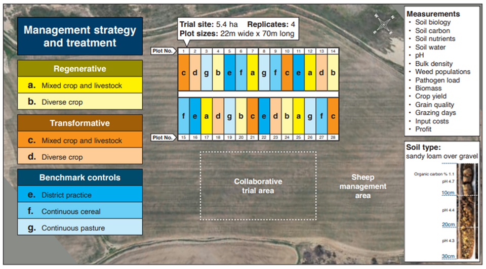 graphic showing the 5.4 ha trial site with plot sizes of 22 m wide by 70 m long. Each plot is associated with one of 7 alternative farming systems and is replicated 4 times throughout the trial site. 