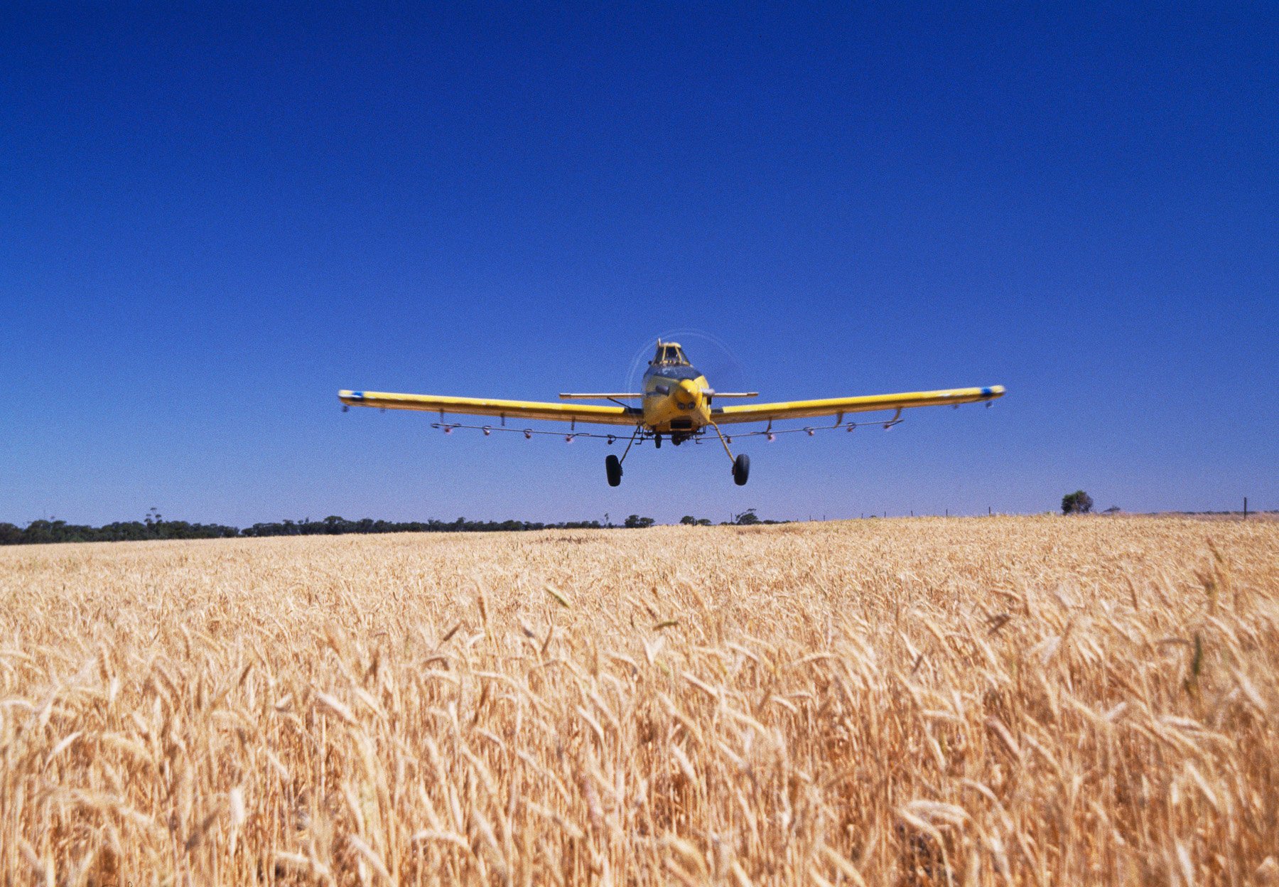 Plane spraying crops