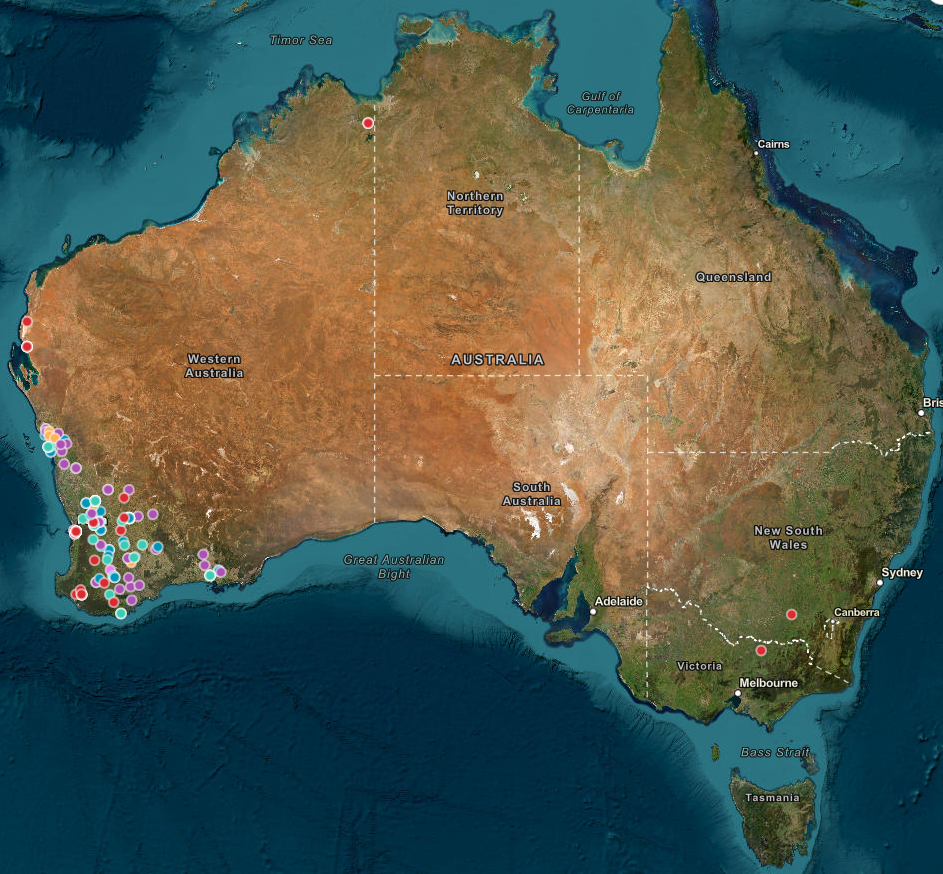 Map of Western Australia with coloured dots 