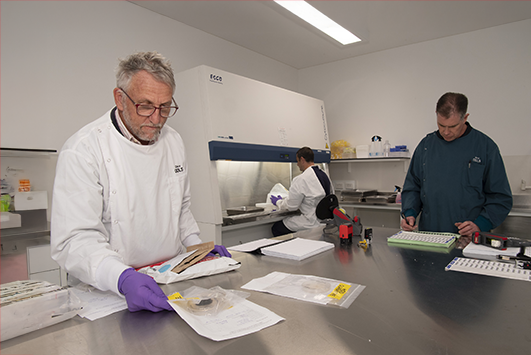 DPIRD Diagnostics and Laboratory Services staff in the lab