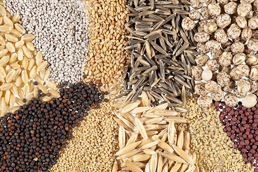 Variety of seeds