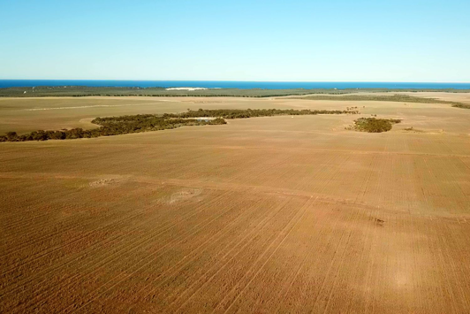 Farmland interspersed with broad banks