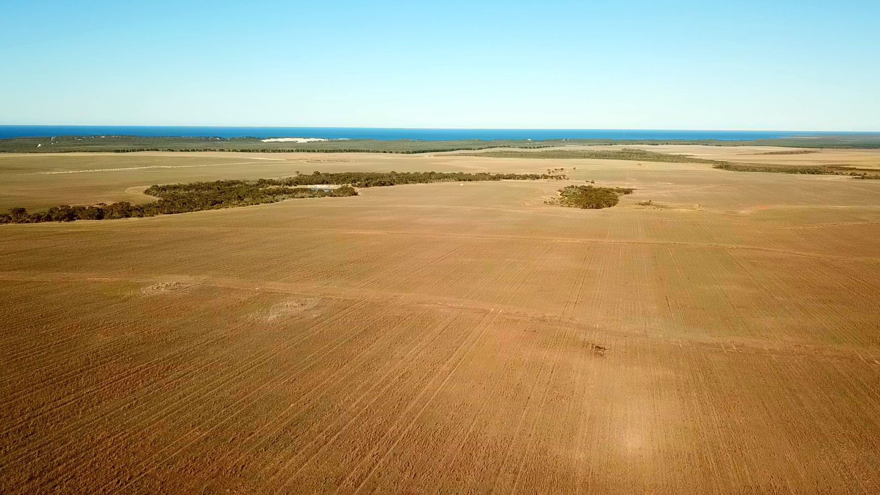Farmland interspersed with broad banks