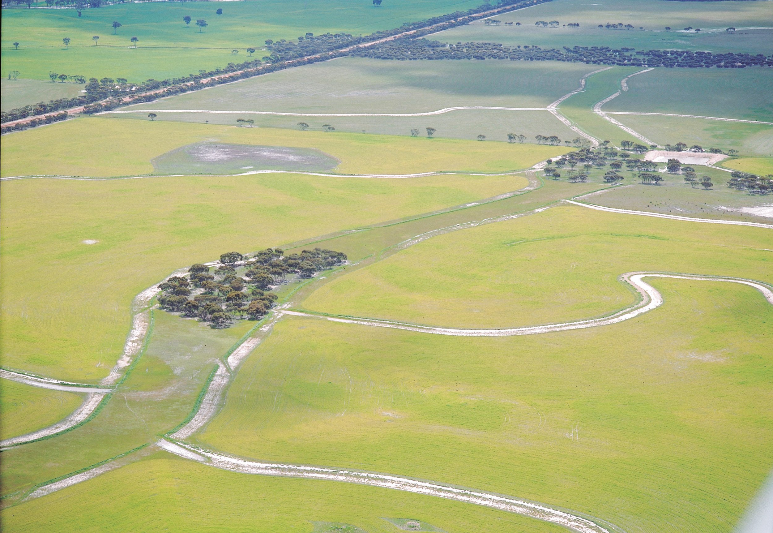 Farmland interspersed by banks
