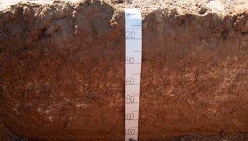 Soil profile with measure