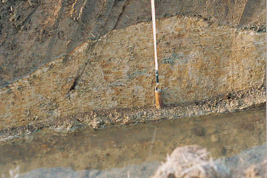 Cross section of soil showing lighter coloured hardpan layer, used in mole drains