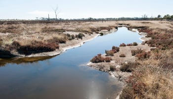Drainage pond for salt water