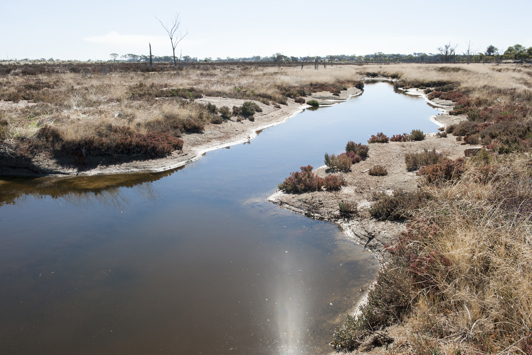 Drainage pond for salt water