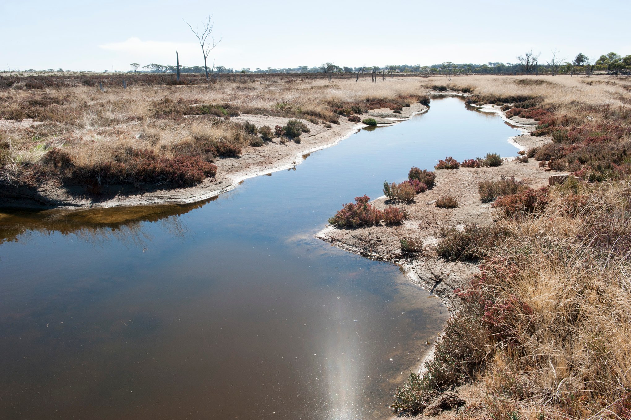 Drainage pond for salt water