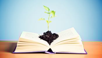 soil and a seedling on a book